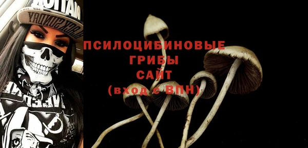 гидра Кинешма