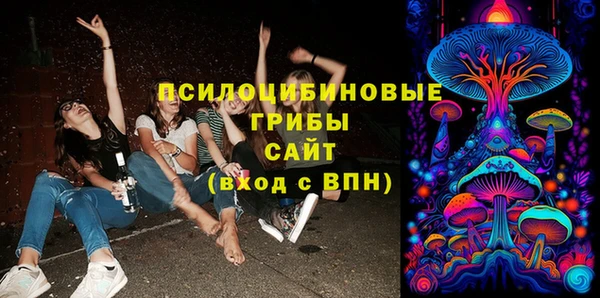 гидра Кинешма