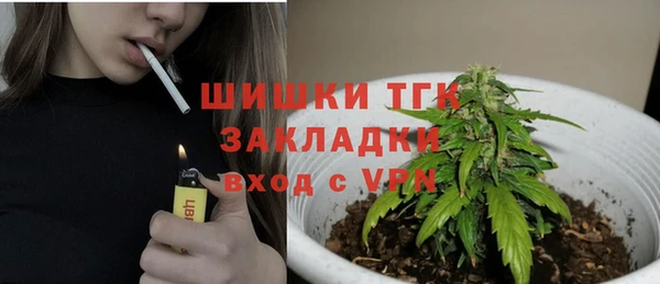 гидра Кинешма