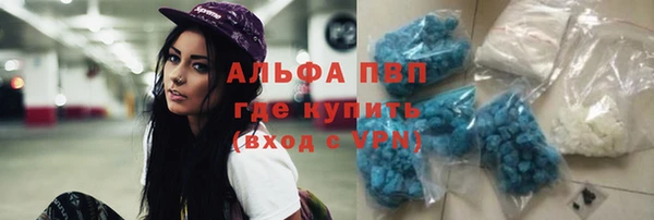 гидра Кинешма