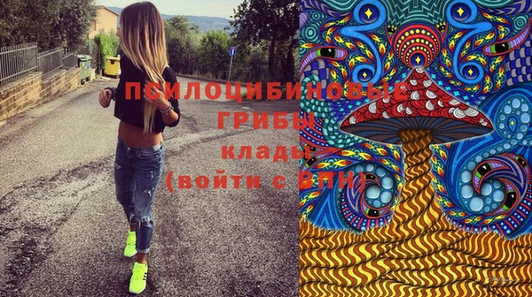 гидра Кинешма