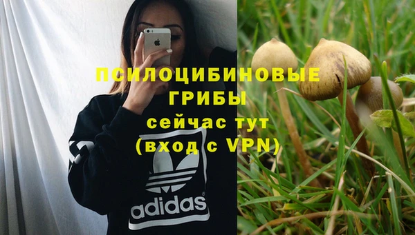 МДПВ Карталы