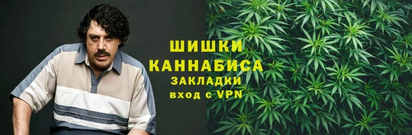 крисы Киренск