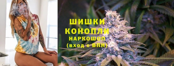 мдпв Киреевск