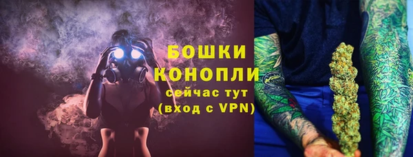 гидра Кинешма