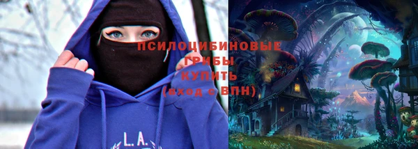 мдпв Киреевск