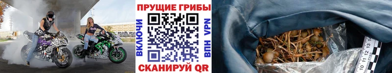 Галлюциногенные грибы мухоморы  Купить где  Катайск 